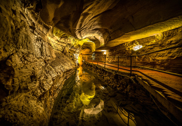 5 Memorable Things to Do When Taking a Howe’s Caverns Cave Tour